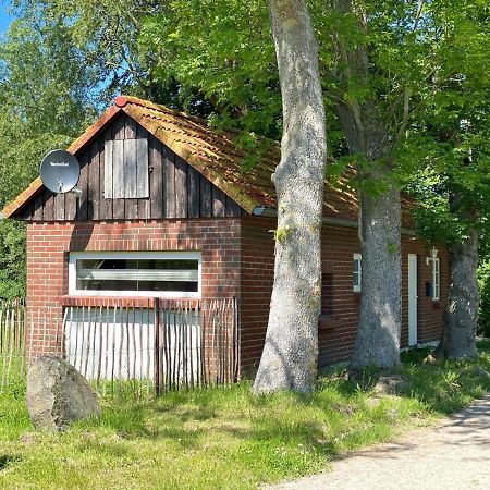 Hofgut Bisdamitz - Ferienhaus "Knoff" Exterior photo