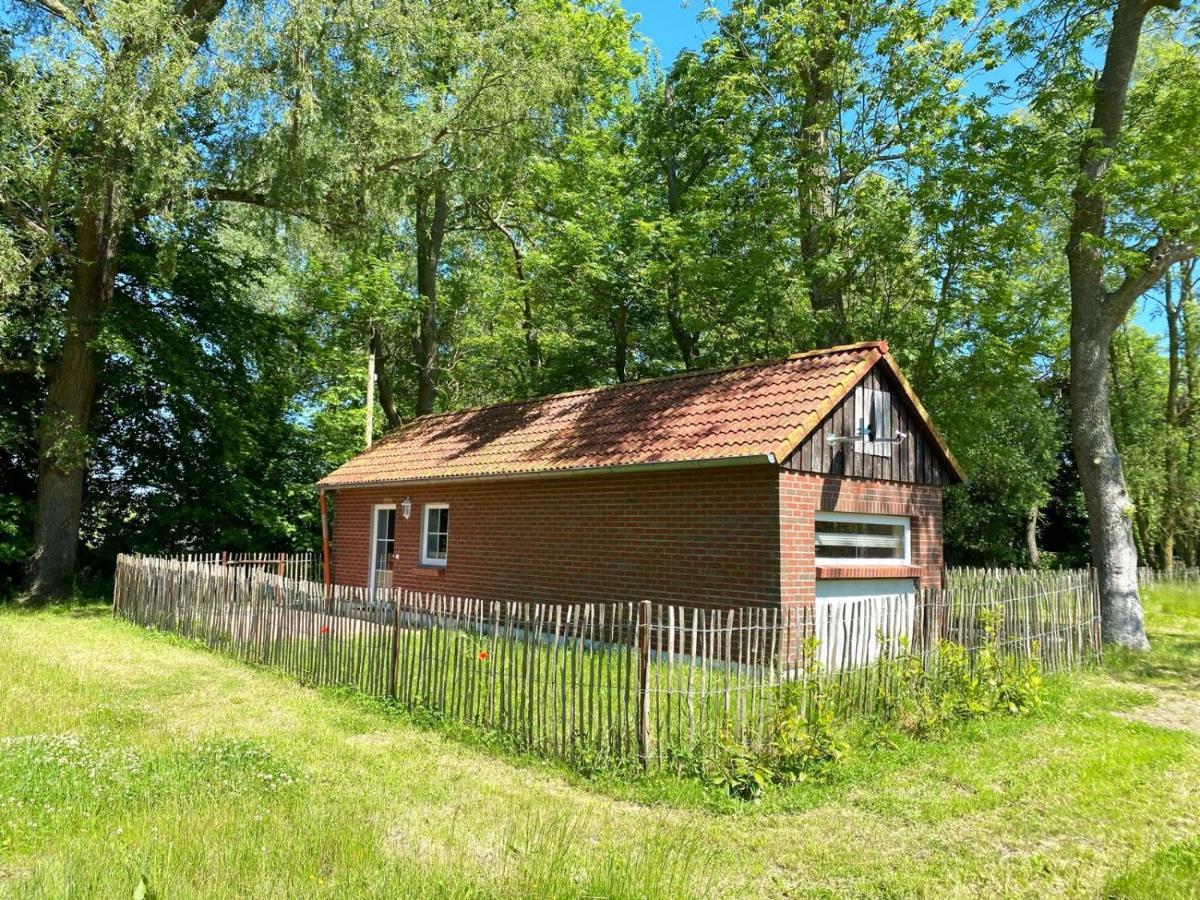 Hofgut Bisdamitz - Ferienhaus "Knoff" Exterior photo