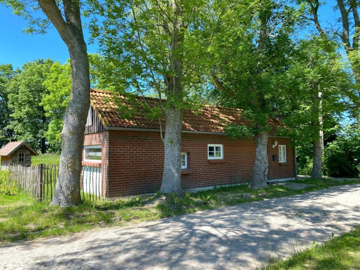 Hofgut Bisdamitz - Ferienhaus "Knoff" Exterior photo
